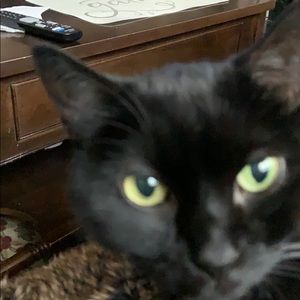 Meet your Posher, Teresa